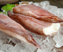Frozen squid the tail